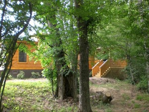 western-nc-log-cabins-46